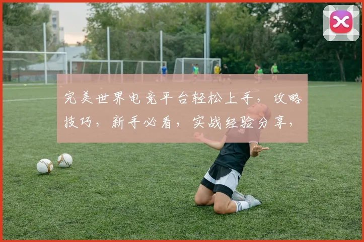 完美世界电竞平台轻松上手，攻略技巧，新手必看，实战经验分享，畅玩攻略