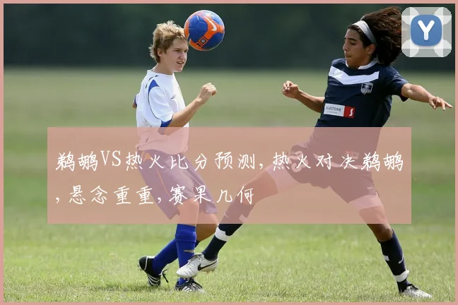 鹈鹕VS热火比分预测,热火对决鹈鹕,悬念重重,赛果几何
