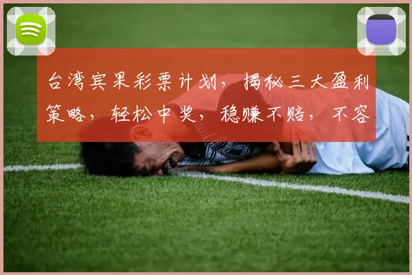 台湾宾果彩票计划，揭秘三大盈利策略，轻松中奖，稳赚不赔，不容错过