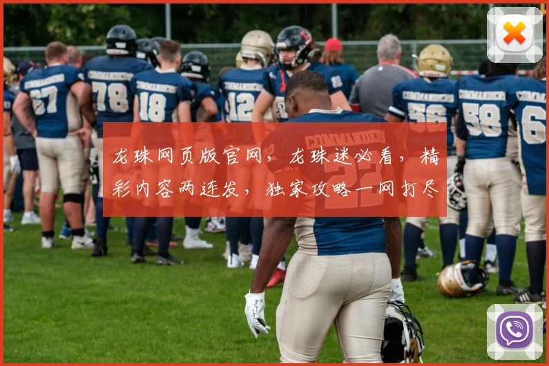 龙珠网页版官网，龙珠迷必看，精彩内容两连发，独家攻略一网打尽